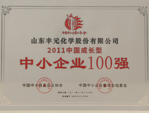中國(guó)成長(zhǎng)型中小企業(yè)100強(qiáng)